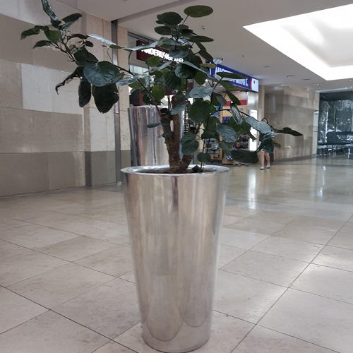 Beispiel für die Innenraumbegrünung mit Gefäßen