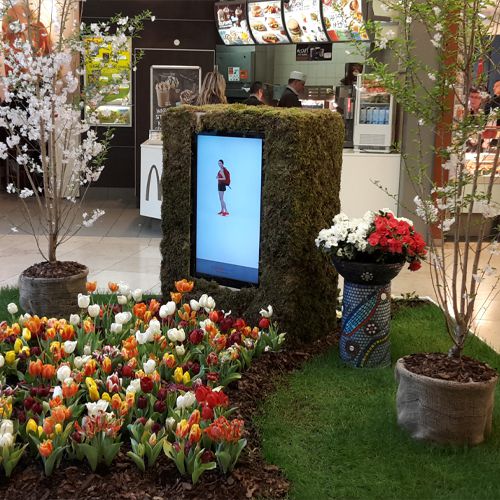 Foto eines Frühjahrsbeets im Innenraum