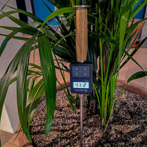 Foto eines digitalen Feuchtigkeitsmessers in einem Pflanzkübel